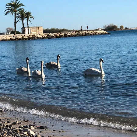 Front Sea Luxury Διαμέρισμα *