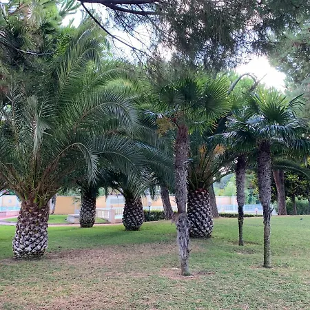 Front Sea Luxury Cagnes-sur-Mer